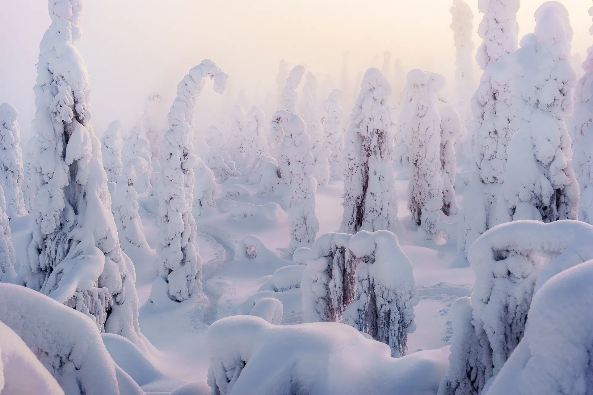 Salla-Landscape