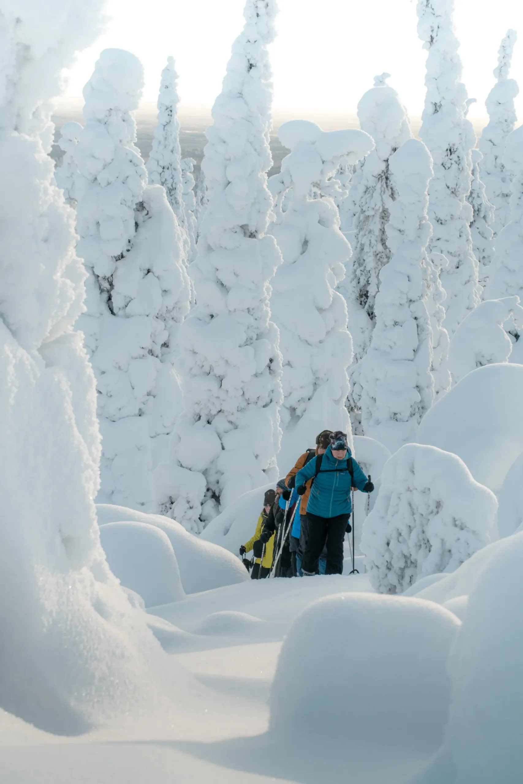 Salla-Snowmobiling-1