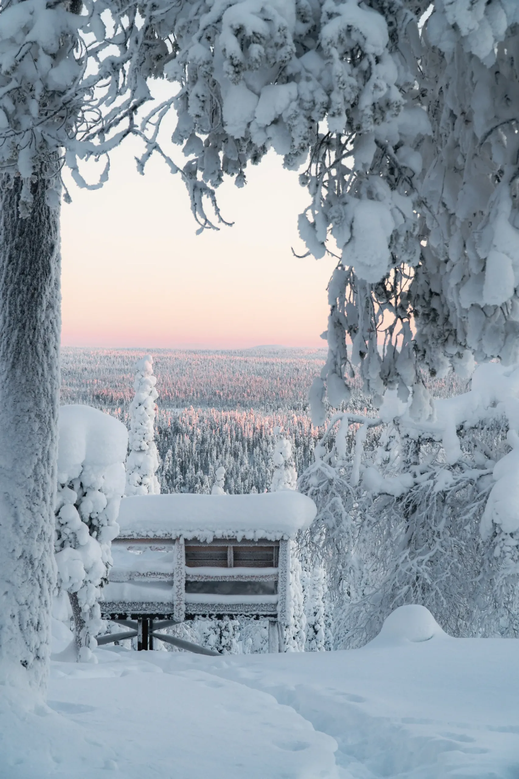 Salla-landscape-2