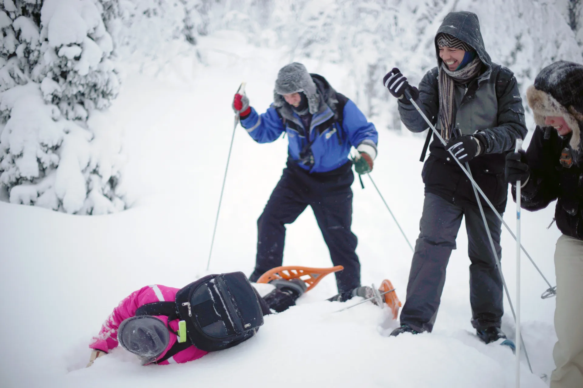 Snowshoe