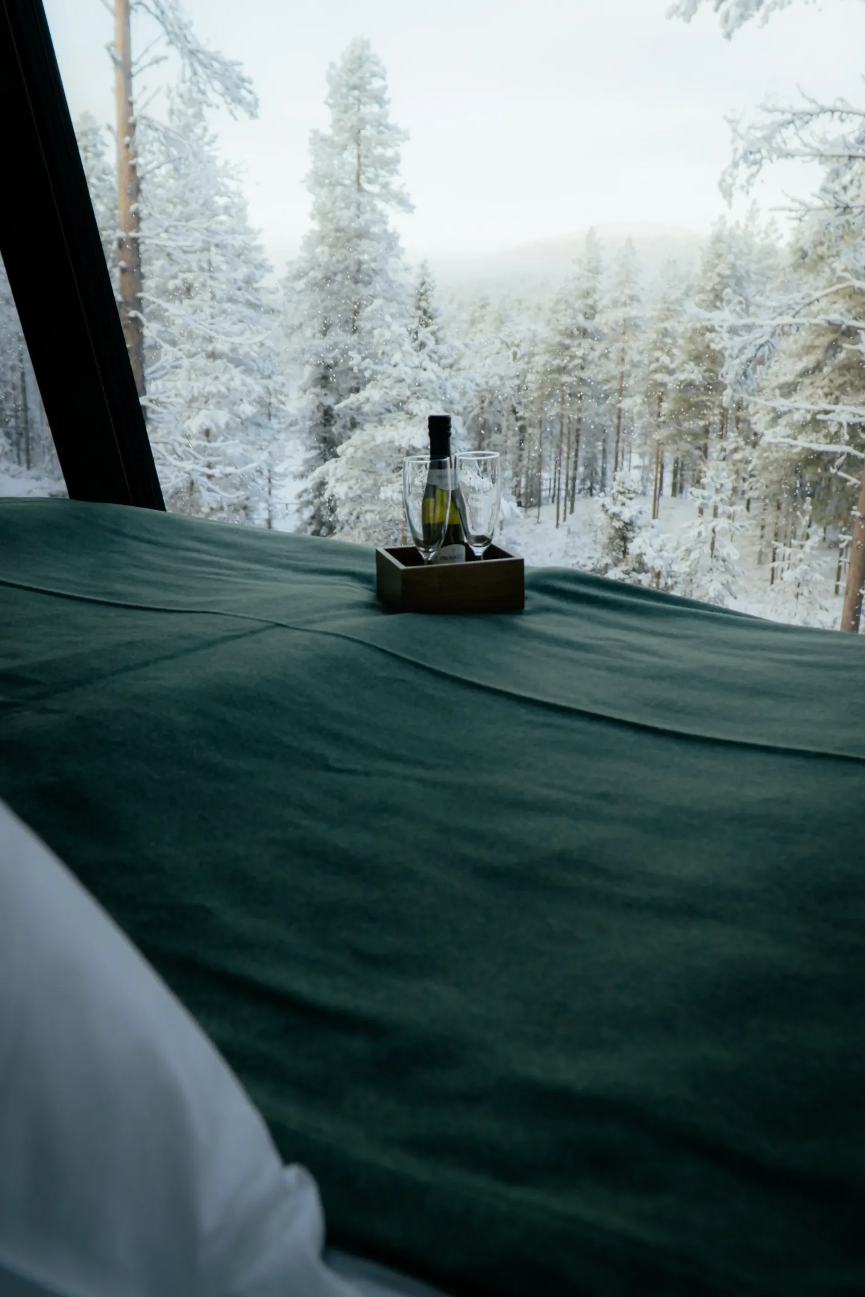 Wilderness-Lodge-2