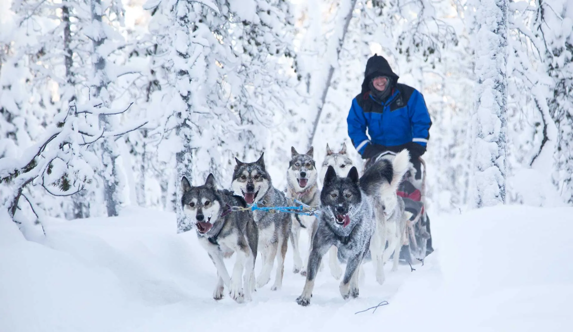 lapland-winter-adventure-hero
