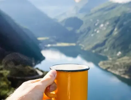 Norway Fjords